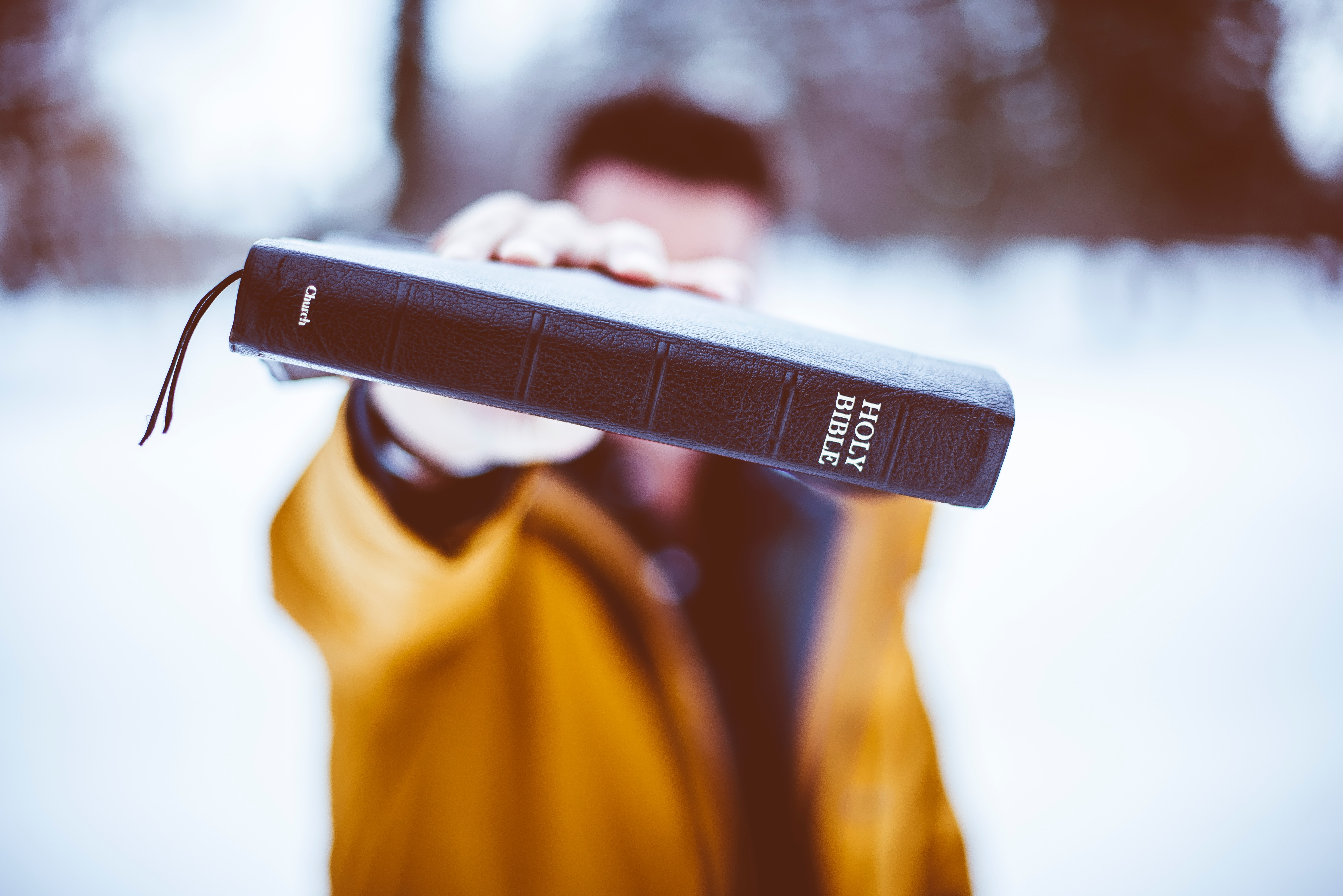 Forming a Christian Mind: What to Read and How to Read It