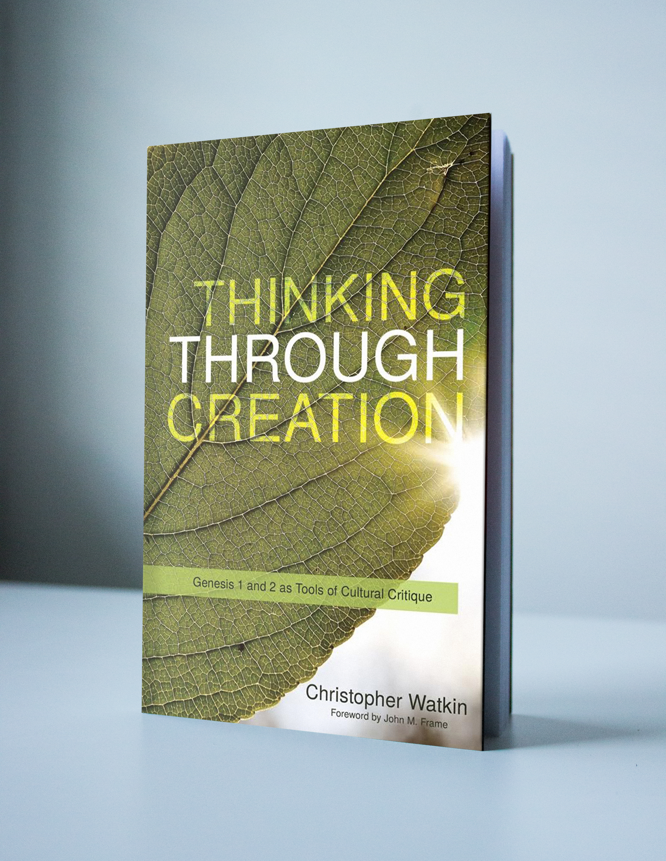 Book excerpt from Thinking Through Creation: Absolute personality theism
